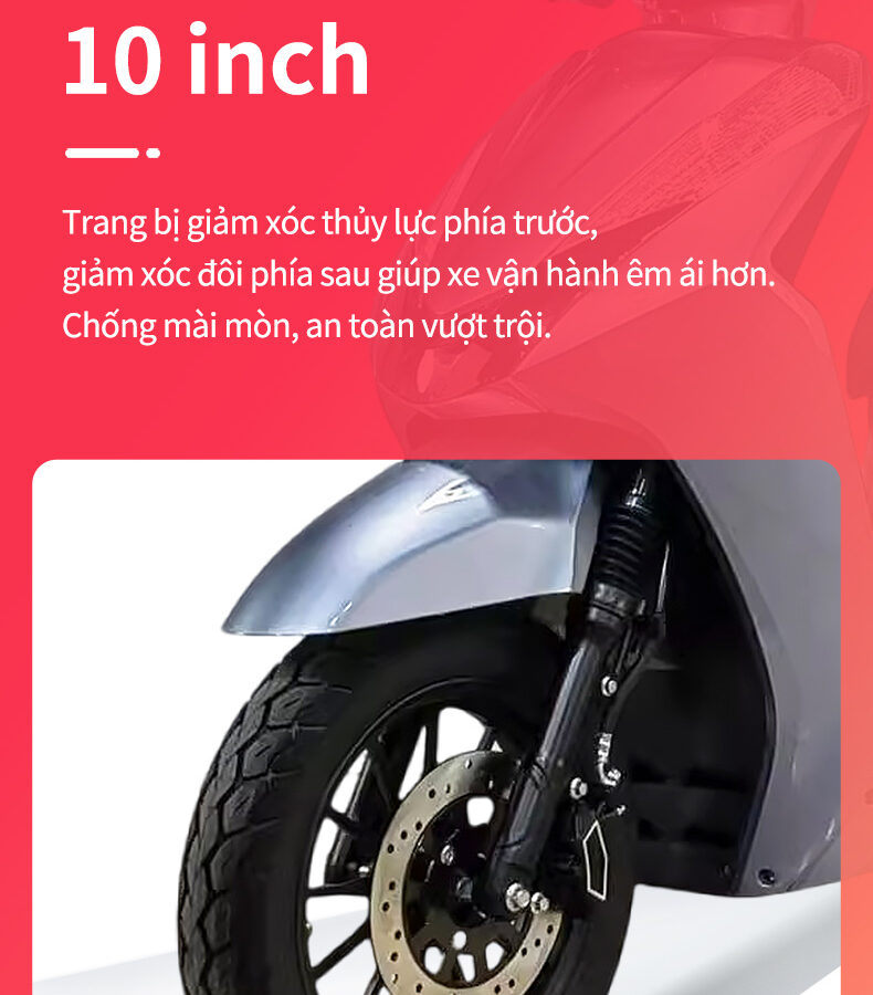 Xe điện EV.BOTON A1 17 XE MAY DIEN HARLEY8