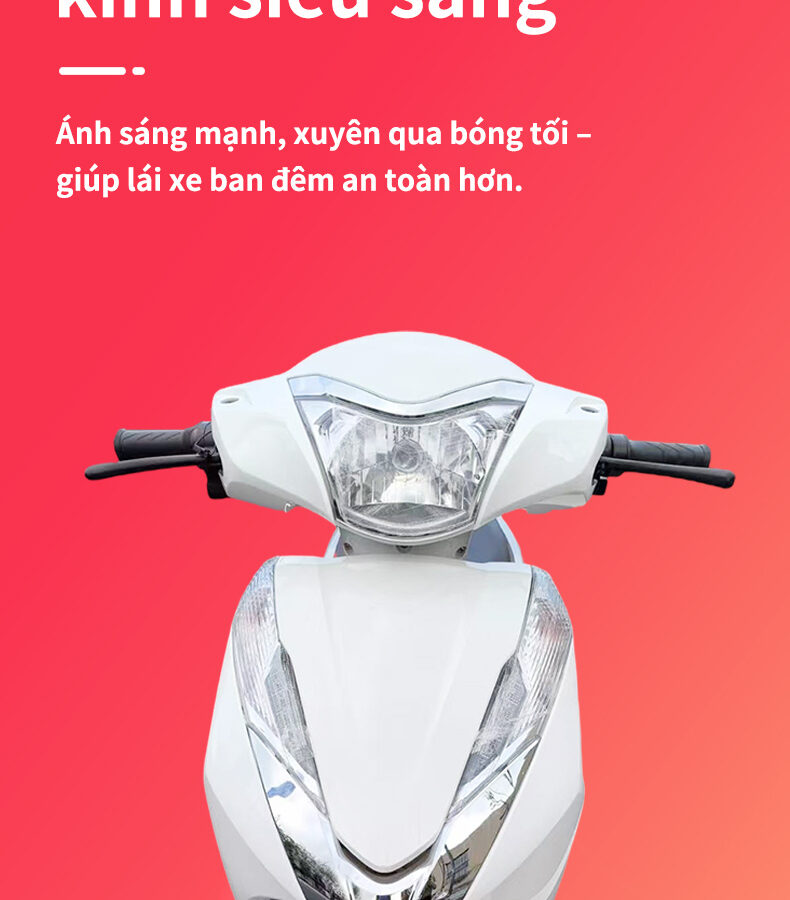 Xe điện EV.BOTON A1 18 XE MAY DIEN HARLEY9