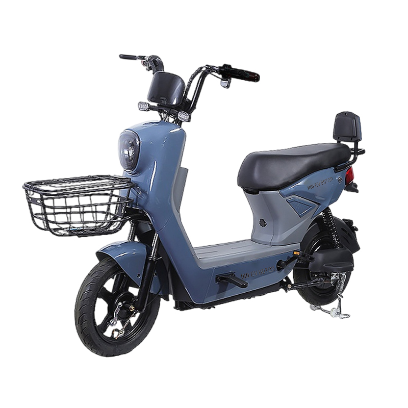 Xe điện EV.BOTON C1